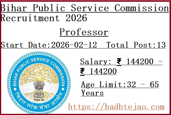 13 Professor Jobs In Bihar Public Service Commission Recruitment 2026