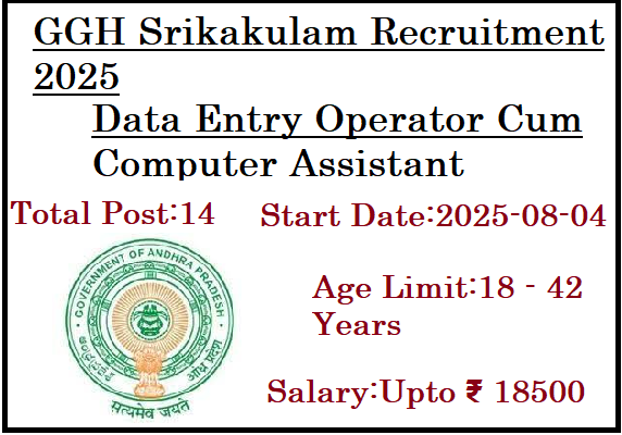 14 Data Entry Operator Cum Computer Assistant Jobs In GGH Srikakulam Recruitment 2025
