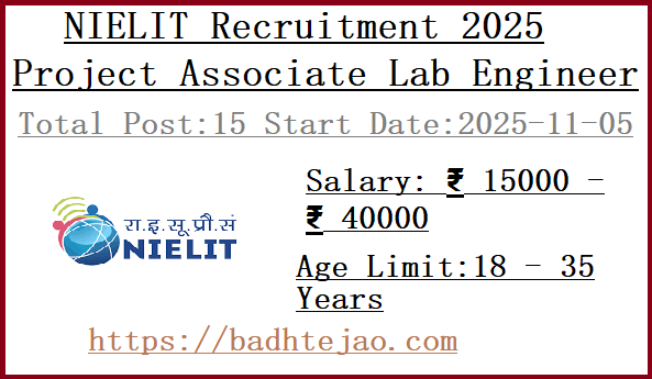 15 Project Associate Lab Engineer Jobs In NIELIT Recruitment 2025