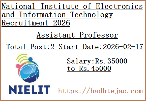 2 Assistant Professor Jobs In NIELIT Recruitment 2026