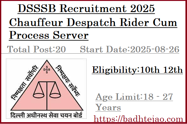 20 10th 12th Pass Chauffeur Despatch Rider Cum Process Server Jobs In DSSSB Recruitment 2025