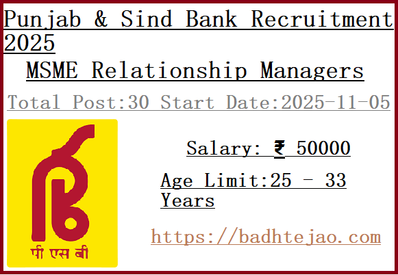 30 MSME Relationship Managers Jobs In Punjab & Sind Bank Recruitment 2025