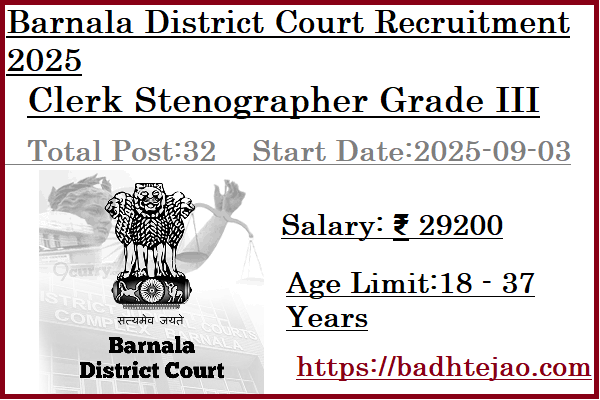 32 Clerk Stenographer Grade III Jobs In Barnala District Court Recruitment 2025