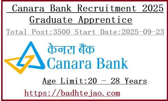 3500 Graduate Apprentice Jobs In Canara Bank Recruitment 2025