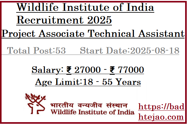 53 Project Associate Technical Assistant Jobs In Wildlife Institute of India Recruitment 2025