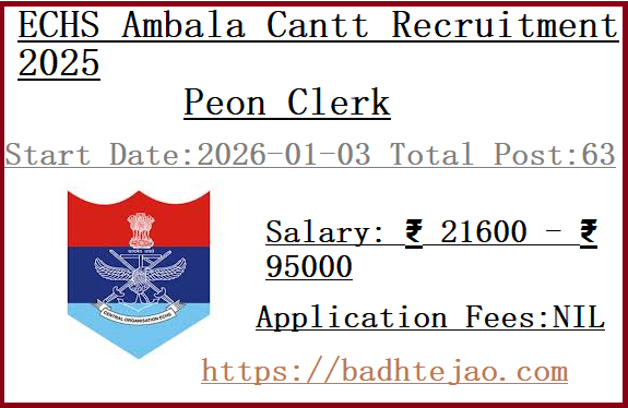 63 8th Class Pass Peon Clerk Jobs In ECHS Ambala Cantt Recruitment 2025