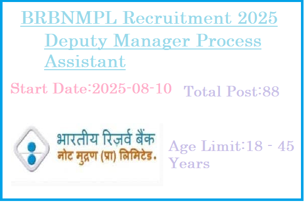 88 Deputy Manager Process Assistant BRBNMPL Recruitment 2025