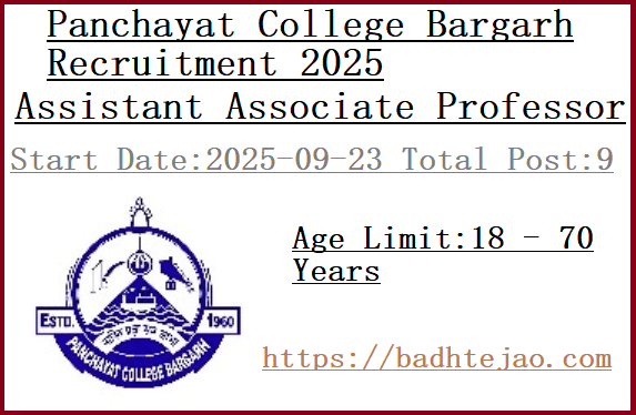 9 Assistant Associate Professor Jobs In Panchayat College Bargarh Recruitment 2025