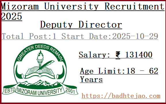 Deputy Director Jobs In Mizoram University Recruitment 2025