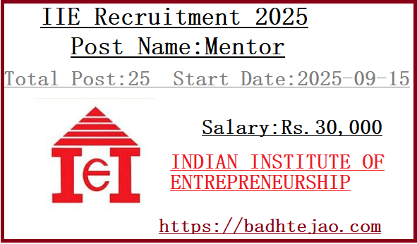 5 Mentor Jobs In IIE Recruitment 2025