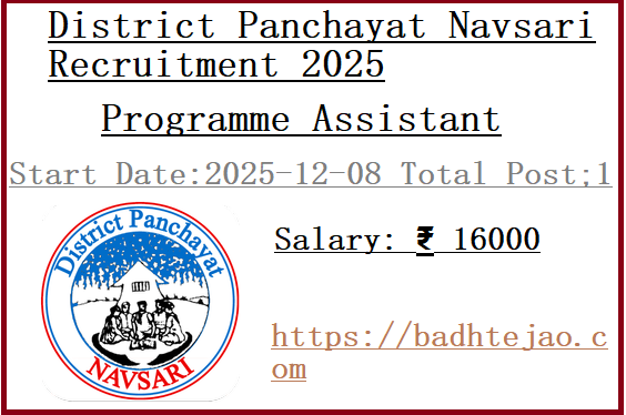 Programme Assistant Job In District Panchayat Navsari Recruitment 2025