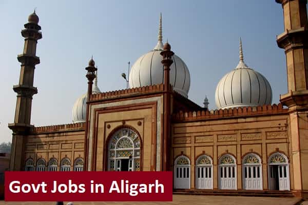 Govt Jobs in Aligarh Uttar Pradesh