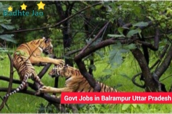 Govt Jobs in Balrampur Uttar Pradesh