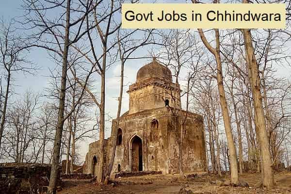Govt Jobs in Chhindwara Madhya Pradesh
