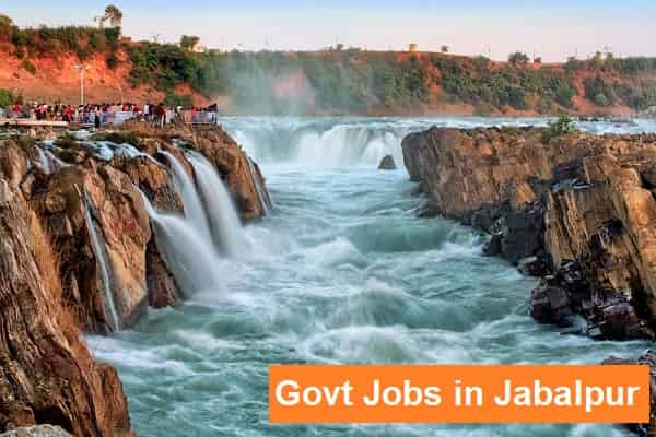 Govt Jobs in Jabalpur Madhya Pradesh