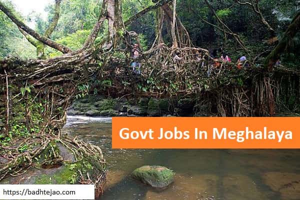 Govt Jobs in Meghalaya