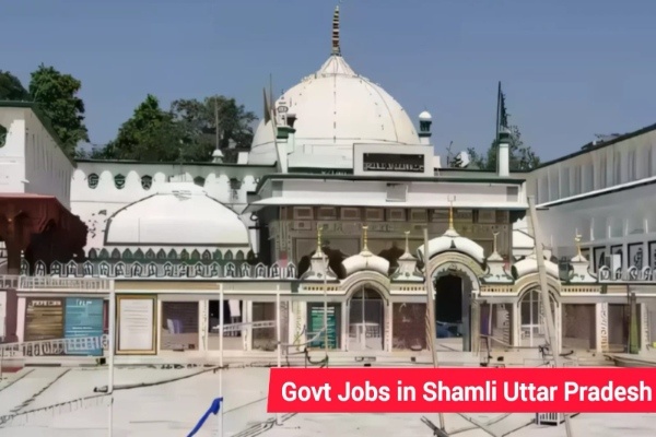 Govt Jobs in Shamli Uttar Pradesh