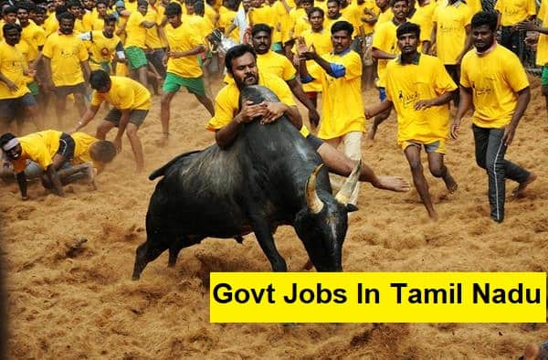 Govt Jobs in Tamil Nadu