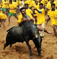 Govt Jobs in Tamil Nadu