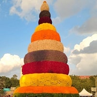 Govt Jobs in Telangana